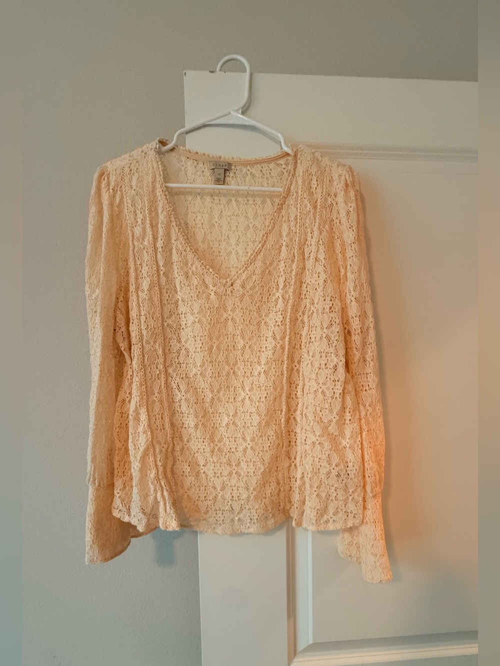 hinge Cream Lace V-Neck Long Sleeve Blouse
